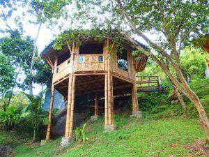 3 Model Rumah Bambu Yang Membuat Tempat Tinggal Jadi Lebih Nyaman