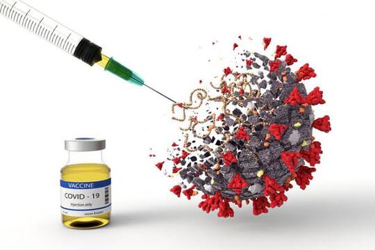Virus Corona Katanya Tidak Bisa Hilang!! Apakah Pandemi Bisa Berakhir?