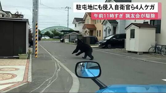 'BERUANG JEPANG' Ngamuk 8 Jam Dan Lukai 4 Orang, Akhirnya Ditembak Mati Gan !
