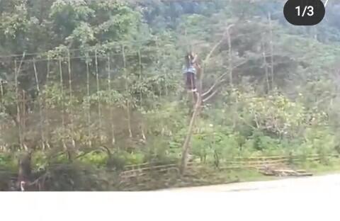Wanita Nekat Lewati Jembatan Rusak Untuk Bisa Berpergian