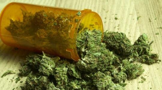 Pemerintah Connecticut Legalkan Ganja Rekreasi, Bakal Dijual Eceran Juga!