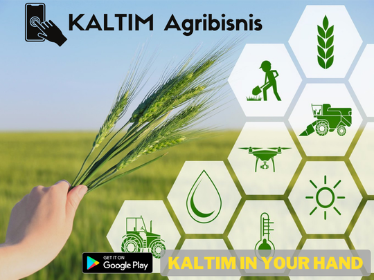 KALTIM In Your Hand - Kalimantan Timur Dalam Genggaman