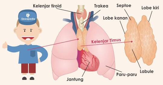 Corona Virus Sudah Ada Sejak Dulu, Ga Percaya?