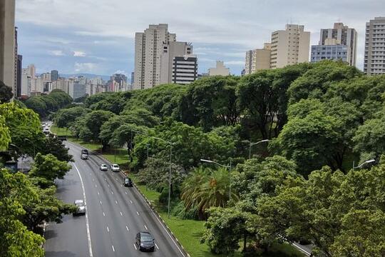 Konsep Kota Hijau Yang Digadang Mampu Membuat Kota Ini Menjadi Dambaan, Apakah Itu?