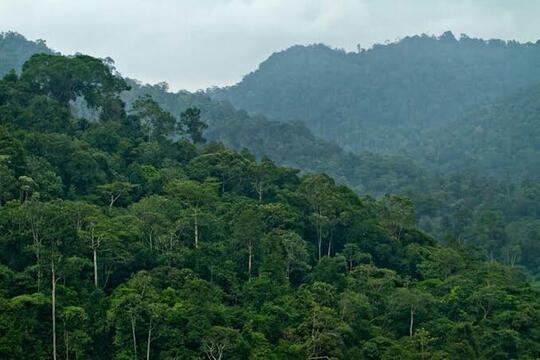 Menciptakan Kawasan Hijau Dengan Inovasi Eco Park Di Samurangau