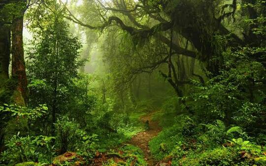 Menciptakan Kawasan Hijau Dengan Inovasi Eco Park Di Samurangau