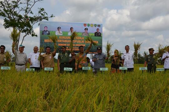 Mencerdaskan Petani Desa menjadi Petani Millenial, Sebuah Revolusi Pertanian