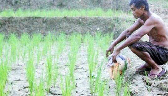 Mencerdaskan Petani Desa menjadi Petani Millenial, Sebuah Revolusi Pertanian