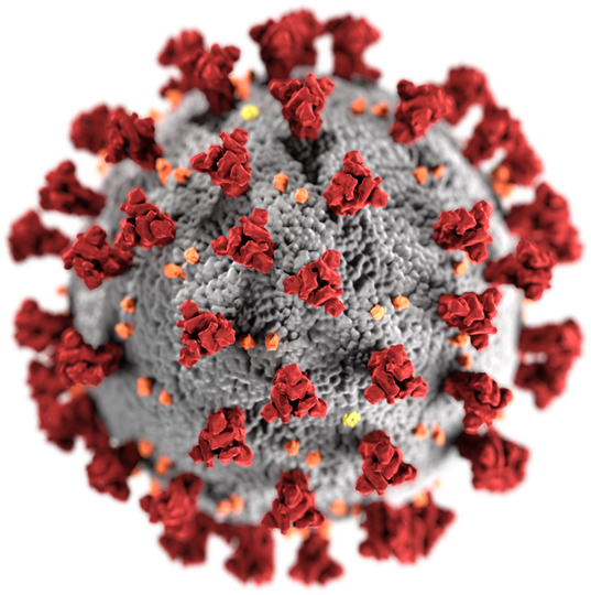 Sejarah Virus Corona