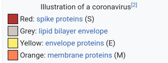 Sejarah Virus Corona