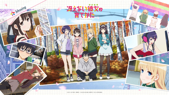 Top 5 Recommended Harem Anime