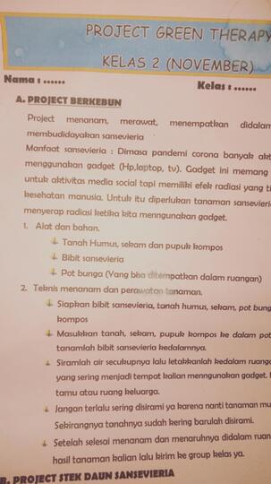 Woww, Lidah Mertua yang Ini Membantu Anda Terhindar dari Radiasi Gadget