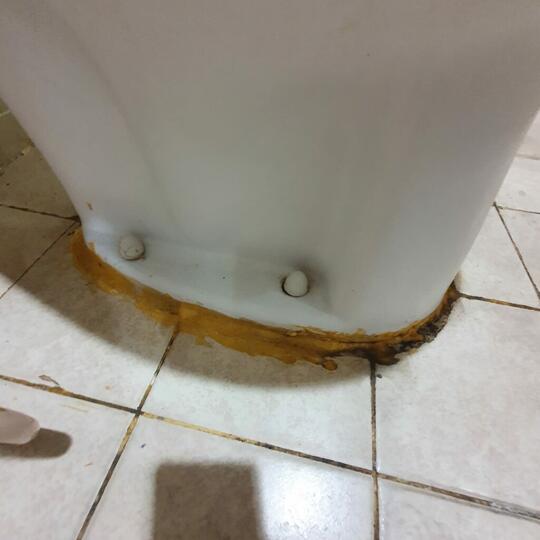 Cara Membersihkan Kerak Kamar Mandi