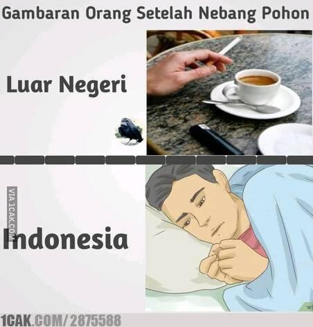 Bikin Geleng-geleng Kepala, Hal-hal Aneh yang Ada di Indonesia!
