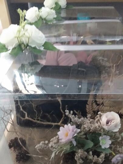 Pilih Mencintai Apa Dicintai Saat Akan Membangun Rumah Tangga?