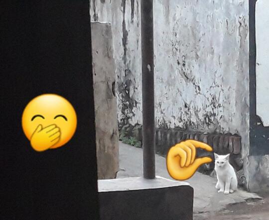 Penelitian Bilang, Ngobrol atau Curhat Mengurangi Stres, Kok Bisa Sih?