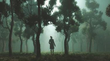 Inilah Hal-hal yang Ditakutkan Ketika Tersesat di Hutan