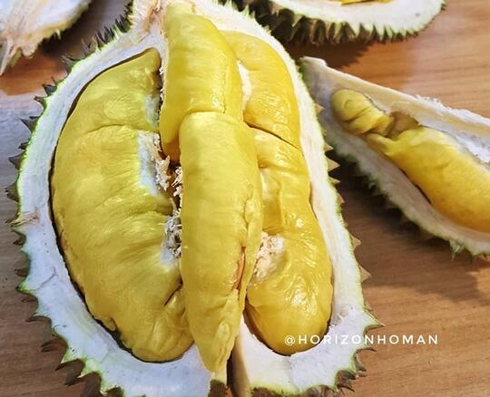 3 Durian Terenak dan Termahal, Nomor 2 dari Indonesia!