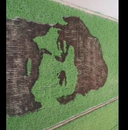 Pria Ini Jadikan Hamparan Sawah Sebagai Lukisan, Hasilnya Keren dan Menakjubkan!