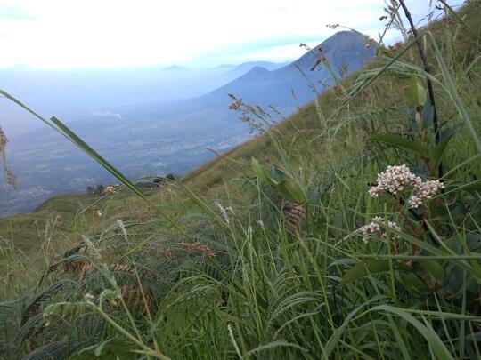 Cerita pengalaman ikut open trip mendaki gunung Sumbing.