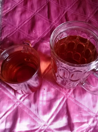 Tanaman Hias Sekaligus Tanaman Obat, Miana Bisa Jadi Pilihan!