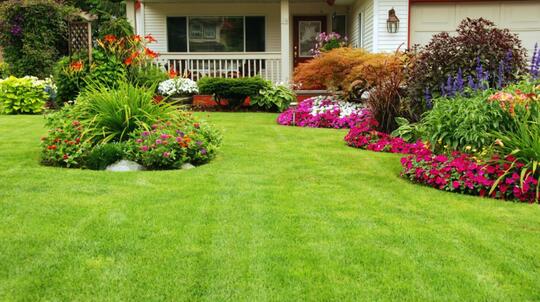 Begini Enaknya Ada Rumput Di Halaman Rumah