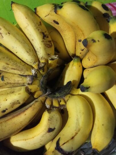 Seberapa Penting Sarapan Buat Gan Sis? Bikin Roti Bakar Isi Okey Juga lho!