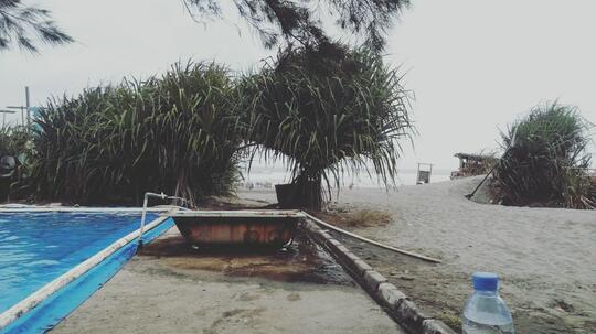 Kuy Pelesiran ke Parangtritis atau Pantai Laut Selatan, Sudah Dibuka Lho!