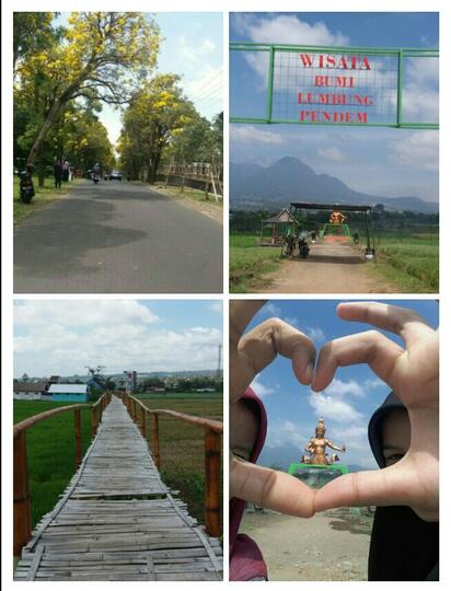 Wisata Tabebuya dan Bumi Lumbung Pendem, Lokasi Seru untuk Ngadem