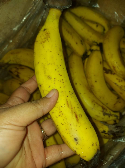 Cake Pisang Panggang 2 Telur, Super Mudah Dan Irit Bahan