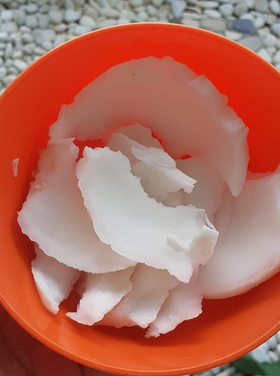 Ternyata Kelapa Muda Tak Hanya Menjadi Minuman Segar, Bisa Dijuga Dibuat Cake Loh!