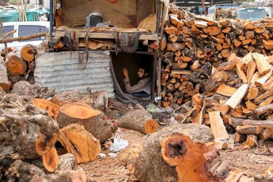 Dampak Perang Yaman: Penggundulan Hutan Dan Ancaman Penggurunan