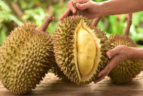 10 Buah Termahal di Dunia dari Asia, Ada yang Seharga Rp606 Juta!