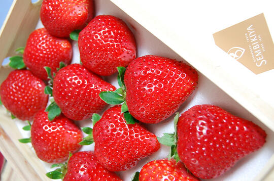 10 Buah Termahal di Dunia dari Asia, Ada yang Seharga Rp606 Juta!