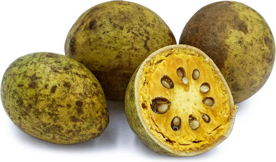 SELAMA INI BANYAK YANG SALAH! INI BUAH MAJA ASLI! DASAR NAMA KERAJAAN MAJAPAHIT!