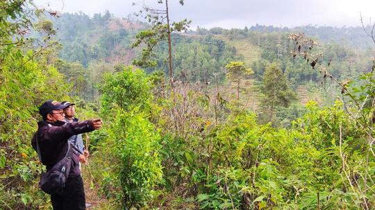 EKSPEDISI MENEMUKAN KAYU CENDANA TERTUA DI JAWA TIMUR