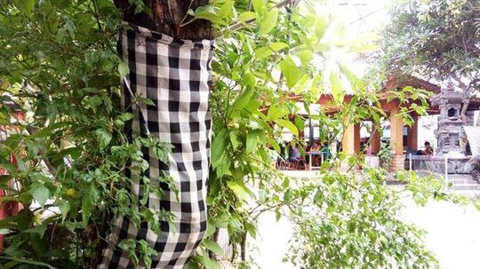 Segala Hal Unik yang Bakal Lo Temui Jika Tinggal di Bali