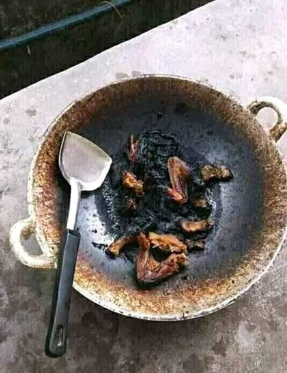 6 Menu Masakan Istri Yang Bikin Mertua Menyalahkan Anaknya Salah Cari Menantu