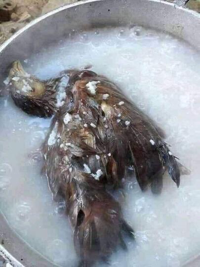 6 Menu Masakan Istri Yang Bikin Mertua Menyalahkan Anaknya Salah Cari Menantu