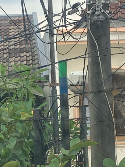 Tanya Tiang ISP