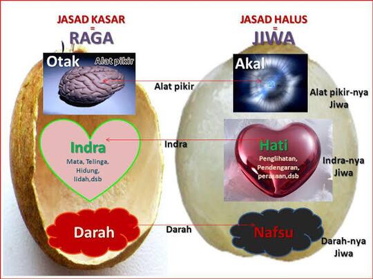 Ruh Dan Jiwa Manusia Apakah Sama?