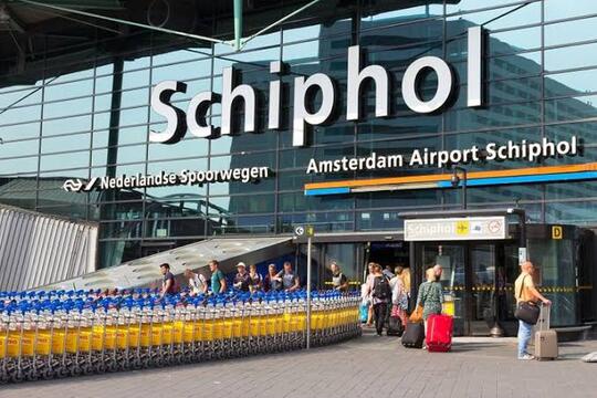 Bandara di Amsterdam Gunakan "BABI" Untuk Menjaga Keamanan Dan Mengusir Kawanan ini