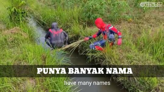 Fakta Unik Spiderman