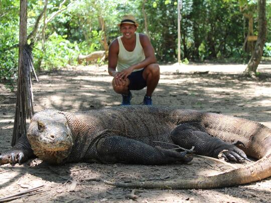 Ini Perbedaan Komodo dengan Biawak yang Ternyata Masih Satu Genus