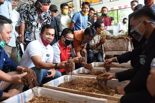 Budidaya Cacing Tanah, Menjijikan Tapi Jadi Cuan!
