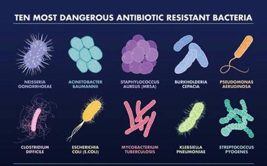 Superbug Dimasa Depan! Sanggupkah Manusia Bertahan?