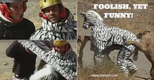 TERKUAK ! Fakta Video 'KOPLAK' 2 Orang Berkostum Zebra Di Kepung Singa Afrika !