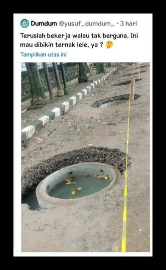 Sumur Resapan Tak Cocok di Jakarta, Ahli BRIN: Nanti Hanya Jadi Kolam