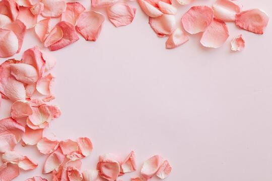 Banyak Dijadikan Lagu Pengiring Pesta Pernikahan, Lagu Marry You Bukan Lagu Romantis
