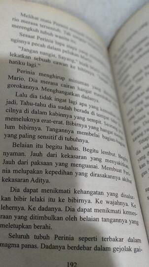 Obsesi Sang Narsis, Rekomendasi Novel yang Dewasa